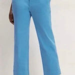 Everlane  The Organic Straight-Leg‎ Pant Cropped Blue Double Button NEW Size 8 Photo 0