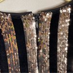 Sunset + Spring Velvet Sequin Striped Long Sleeve Dress Photo 8