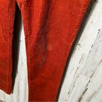 Eileen Fisher Burnt Orange Corduroy Slim Leg Stretch Womens Size 10 Photo 2
