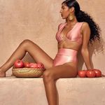 Andrea Iyamah Bikini Kuwa Underwire High Waisted Blush S NWT Photo 1