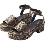 Seychelles NEW  Calming Influence Python Snake Platform Sandals NWOB Size 9 Photo 0