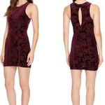 Free People  Plumberry Burnout Babe Bodycon Dress Size XS Photo 1