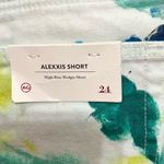 AG Adriano Goldschmied AG Alexxis High Rise Shorts Tie Dye Denim Sz 24 NWT Cutoffs Multi-Color Wedgie Photo 2