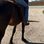 Wrangler Bootcut Jeans Photo 6