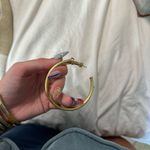 Sheila Fajl  Sheila Hoops Photo 2