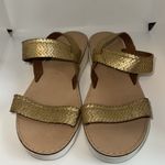 Seychelles  Platform Slingback SANDALS Metallic Gold Snake Print Women’s 7 Photo 4