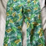 Diane Gilman DG2 by Green Tropical Palm Tree Cropped Pants 20W Cotton & Spandex Photo 2