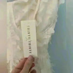 Thirty Thirty LA Ivory Butterfly Mesh Midi Garden Dress XS Photo 7