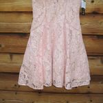XScape NWT  Fit & Flare Lace Mini Dress Photo 5