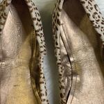 BCBGeneration  Laurel 2 Leopard Bow Flats Size 8 Photo 3