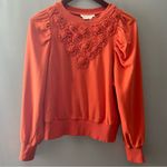 Anthropologie  Embroidered Sweatshirt Photo 1