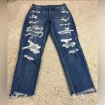 American Eagle Women’s  Mom Jeans Photo 0