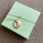 Tiffany & Co. necklace π Photo 0