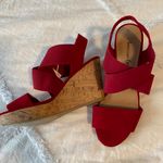 American Eagle  Wedge Heels Photo 1