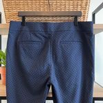 Loft  Marisa Skinny Velveteen Polka Dot Mid-Rise Dress Pant Trouser, 12 Photo 5