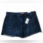 Nine West NWT  Women's Blue Jean Shorts Size 14 Photo 6