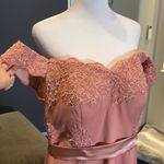 Women’s Dusty Pink Full Length Party Formal Dress Small Train Size 14 NWT Photo 2