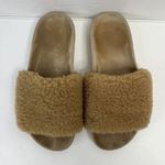 Jenni Kayne Shoes Size 36 US 6 Shearling Slide Sandal Beige Comfort SlipOn Flats Photo 5