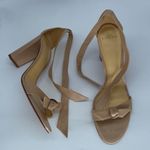 Alexandre Birman  Nude Clarita Ankle Tie High Block Heel Sandals 42 Photo 4