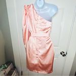 Red Dress Boutique Aaakaa Wish For More One Shoulder Ruffle Satin Dress Blush M Photo 6