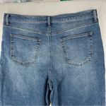 Celebrity Pink Curvy Hi-Rise 90's Jean Photo 4