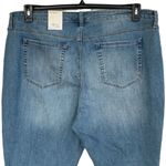 Style & Co SZ 22W Curvy Skinny Jeans Mid-Rise Medium Wash Stretch Whiskered Blue Photo 3