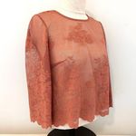 Forever 21  Exclusive Sheer Mesh Floral Lace Crop Top size Small Photo 6