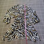 Bishop and Young  Paris Fall Zebra Tiger Stripe Dress Photo 3