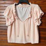 Free People Terese Velvet Blouse Pale Pink Ruffle Neck Long Sleeve Top S Photo 2