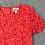 Jessica Howard Jessica H Coral Pink Lace Shift Dress Women's 8 Short Sleeve Scallop Fringe Hem Photo 1