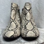 Circus by Sam Edelman Pipper Booties Women 8 Snakeskin Faux Leather Festival Photo 2