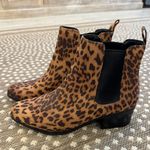 A New Day Suede Cheetah Booties Photo 0