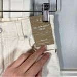 Madewell  The '90s Straight‎ Crop Jeans Raw Hem in Tile White Size 23 NWT Photo 2
