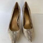 BCBG Paris Snake Print Pointed Toe Heels | Women’s 8.5 Stilettos Photo 0