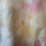 Barstool  Brianna Chickenfry Hoodie Photo 1