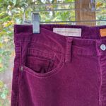 Pilcro and the Letterpress Anthropologie Pilcro Stet Cords Burgundy Tapered Leg Ankle Zip Size 29" Photo 4