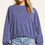 Z Supply  Blue Mason Leopard Pullover Photo 0