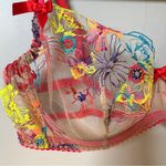 Agent Provocateur Zuri lace mesh floral embroidery plunge underwire bra US 36D Red Size undefined Photo 10