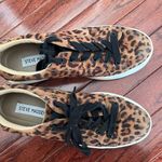 Steve Madden Tennis Shoes Photo 1