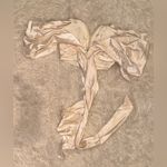 House Of CB NWOT  elisetta white satin plunge off shoulder bustier top sz S Photo 5