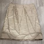 Skirt Size 14 Photo 0