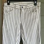 Madewell Striped Skinny Skinny Ankle Jeans Photo 1