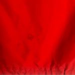 Marmot Red Orange Women's Minimalist Jacket Size XS Photo 14