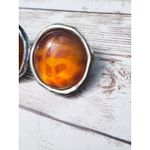Vintage Clip On Earrings Extra Large Amber Tones Photo 2