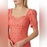 Saylor  Louisa Lace Midi Dress Size XL Coral Wedding Guest Event Party Formal Photo 8