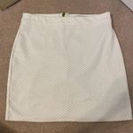 Forever 21 Skirt Photo 0