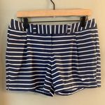 Nike  Blue and White Athletic Shorts with Stripes Photo 8