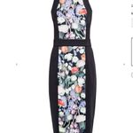 Ted Baker NWT Akva Kensington Floral Dress Photo 4