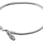 Pandora Charm Bracelet Photo 0