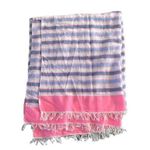 Nordstrom Blue and Pink Striped Scarf Photo 0